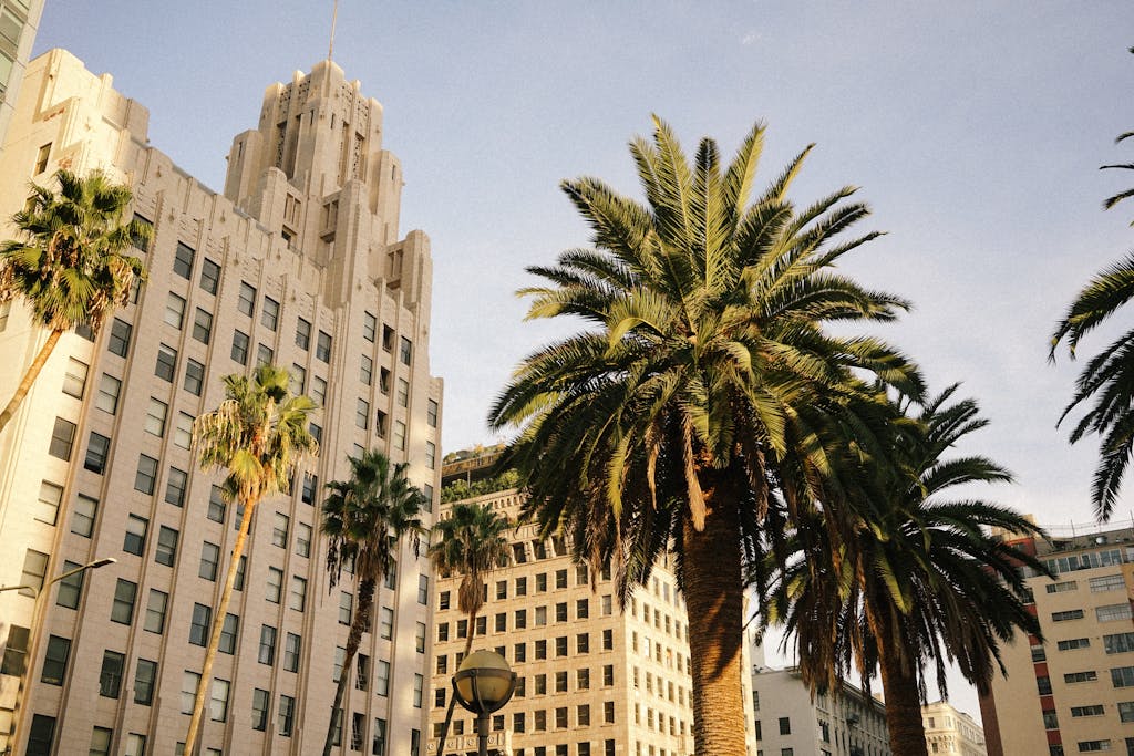 Art Deco architecture with palm trees under a sunny sky, capturing urban beauty and design.